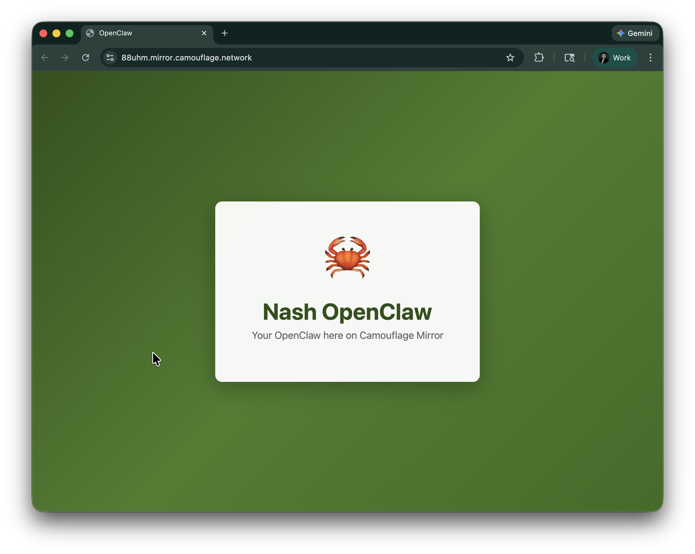 Mirror browser view